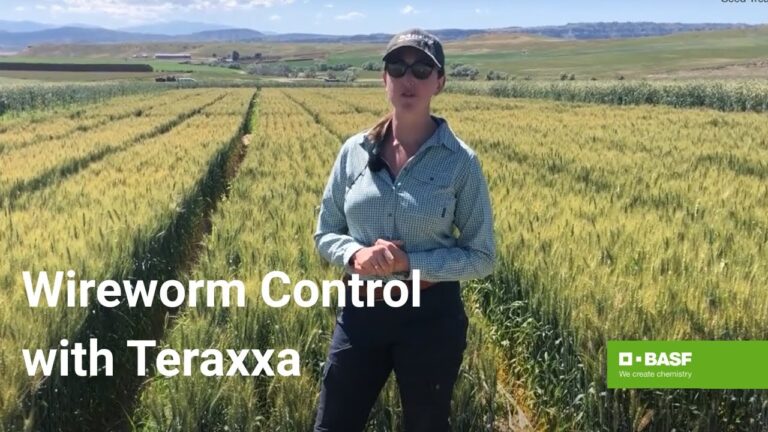 Reddy Anna ID: Unlocking Benefits, Opportunities, and Community Impact